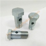 720B  BSP Bolt