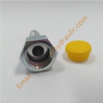 22211 BSP Male Flat Seat fitting